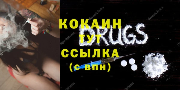 индика Балахна
