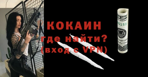 индика Балахна