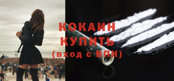 индика Балахна