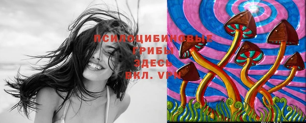 дживик Балабаново