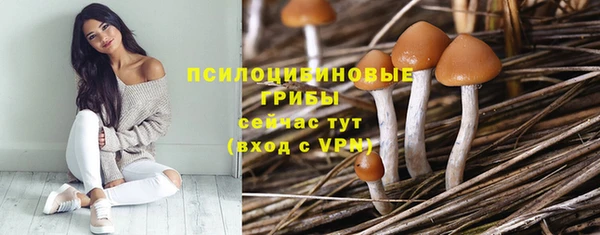 индика Балахна