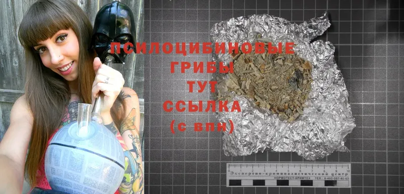 купить закладку  blacksprut онион  Псилоцибиновые грибы Magic Shrooms  Верея 