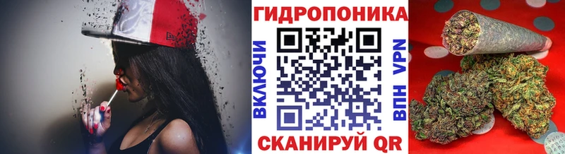 цена   нарко площадка какой сайт  Конопля конопля  Верея 