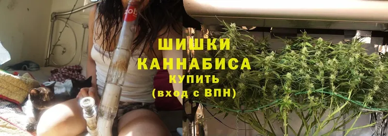 Шишки марихуана THC 21%  где продают наркотики  Верея 